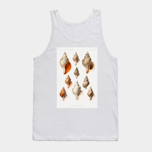 Molluscs of the Northern Seas - Vintage Scientific Illustrations Tank Top